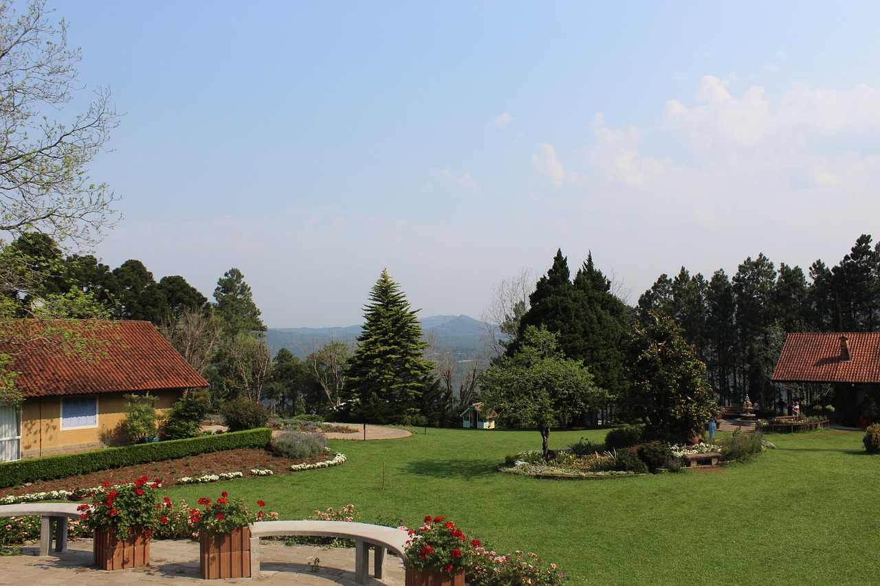 garden, lawn, rio grande do sul, nature, grass, trees, green, le jardin