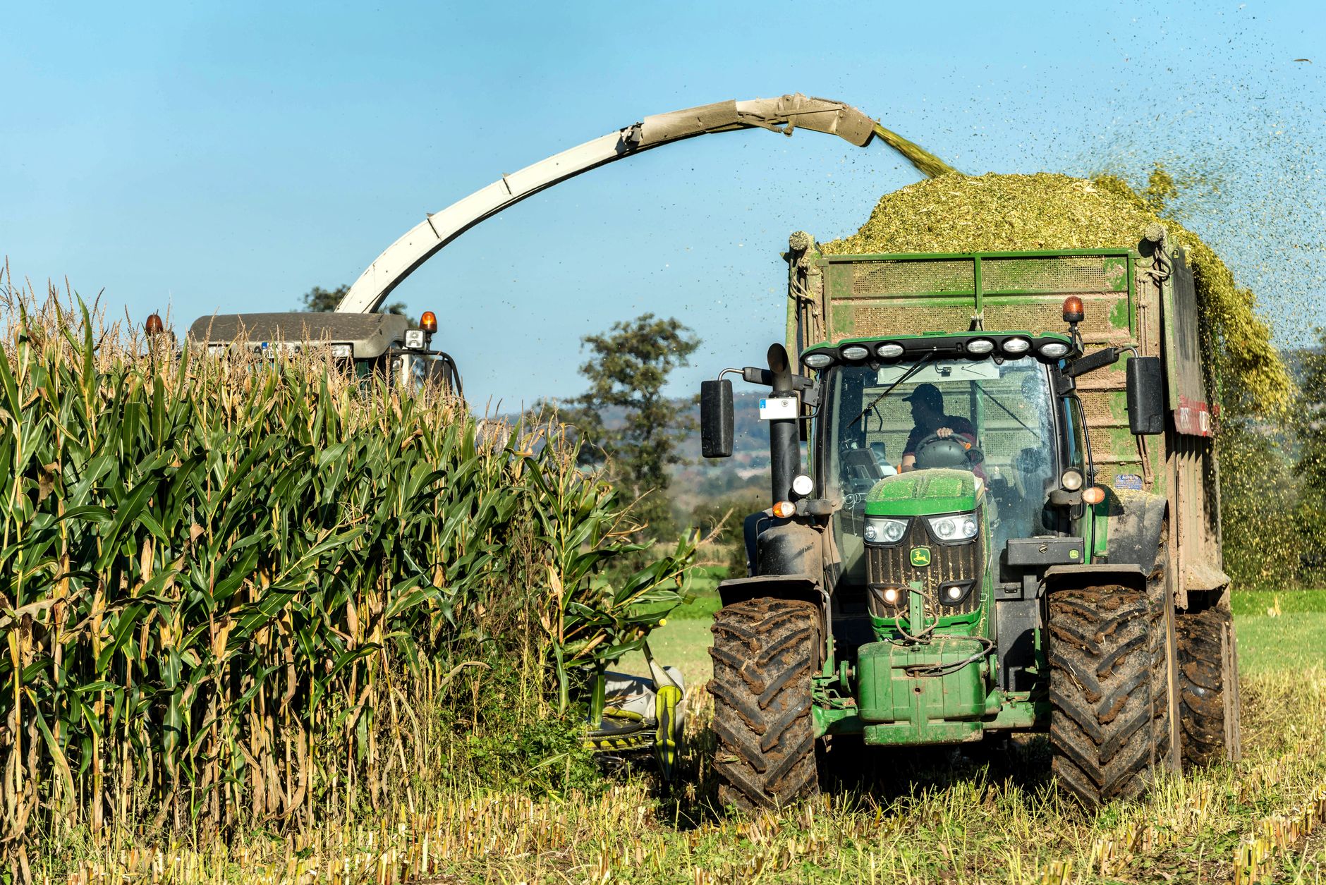 A tractor harvesting corn in a sunny rural Holzminden, Germany field.