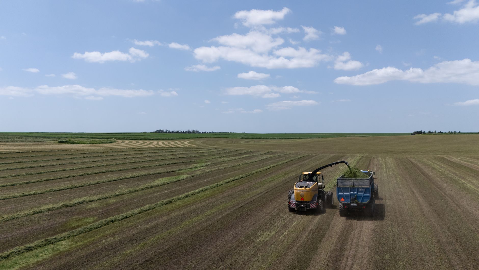 Tractor harvesting silage in a vast open field under a blue sky.