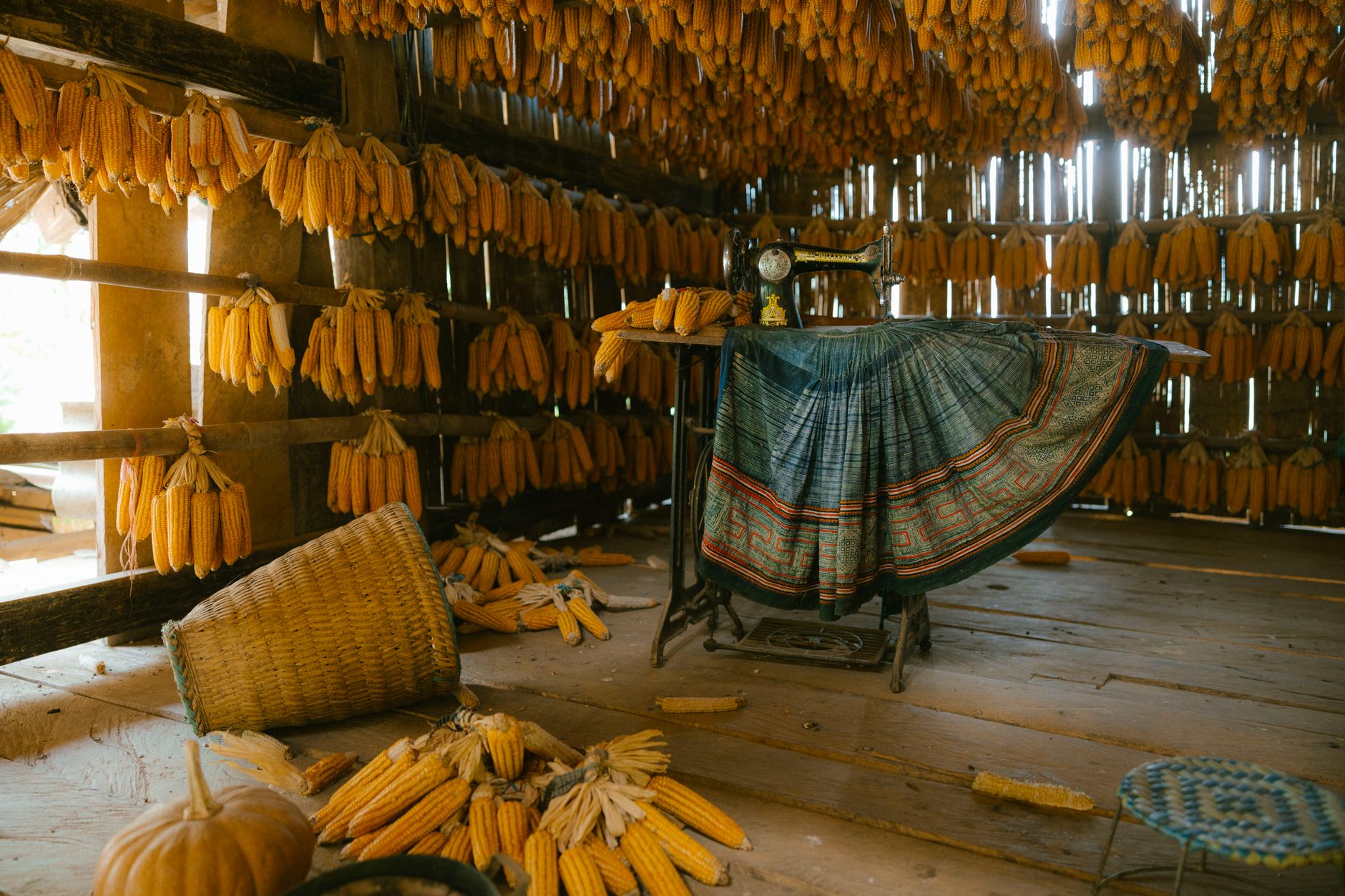 Rustic indoor space with corn drying and a vintage sewing machine, showcasing autumn vibes.