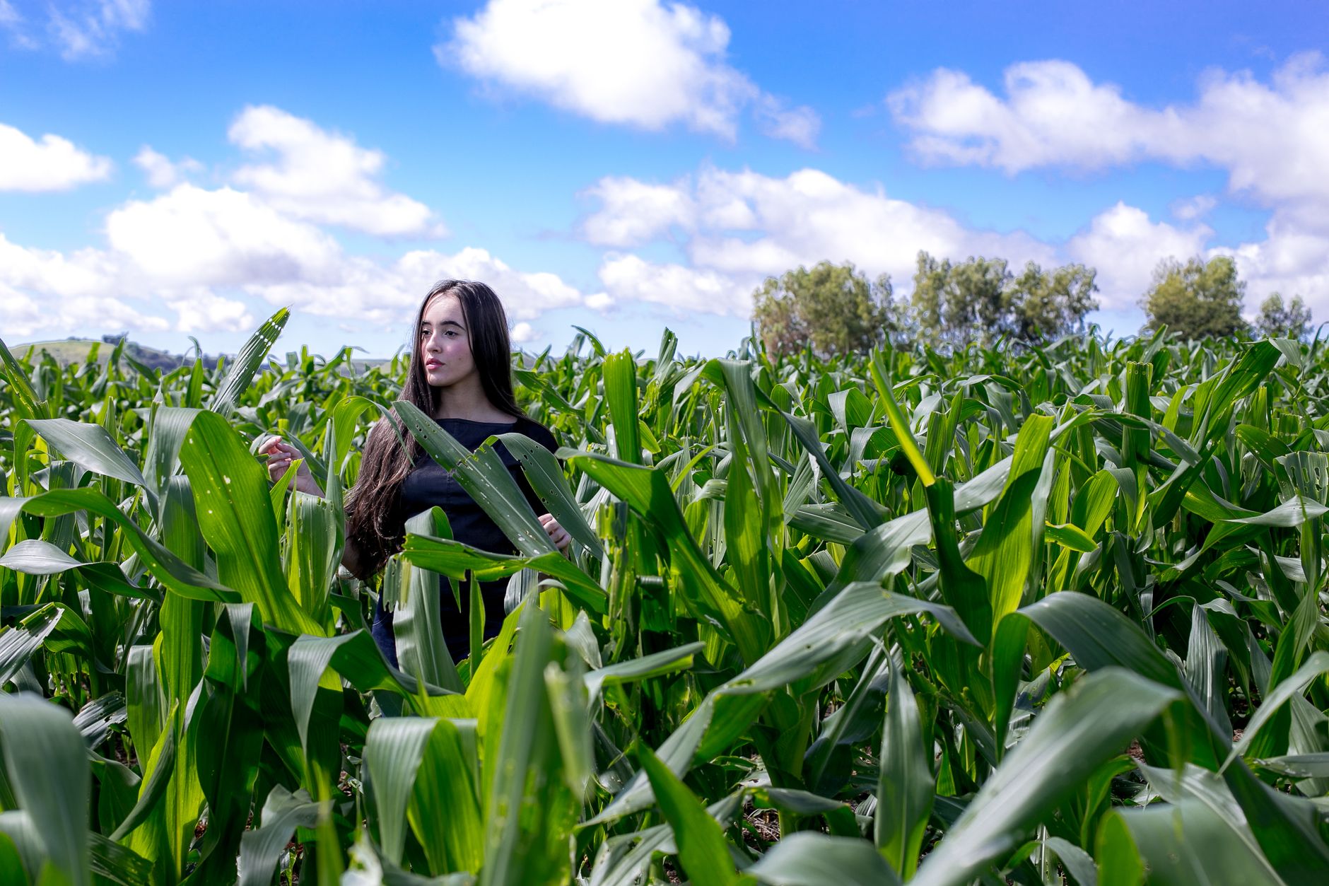 A young woman standing amidst vibrant green corn plants in a rural farmland setting against a bright, clear sky.