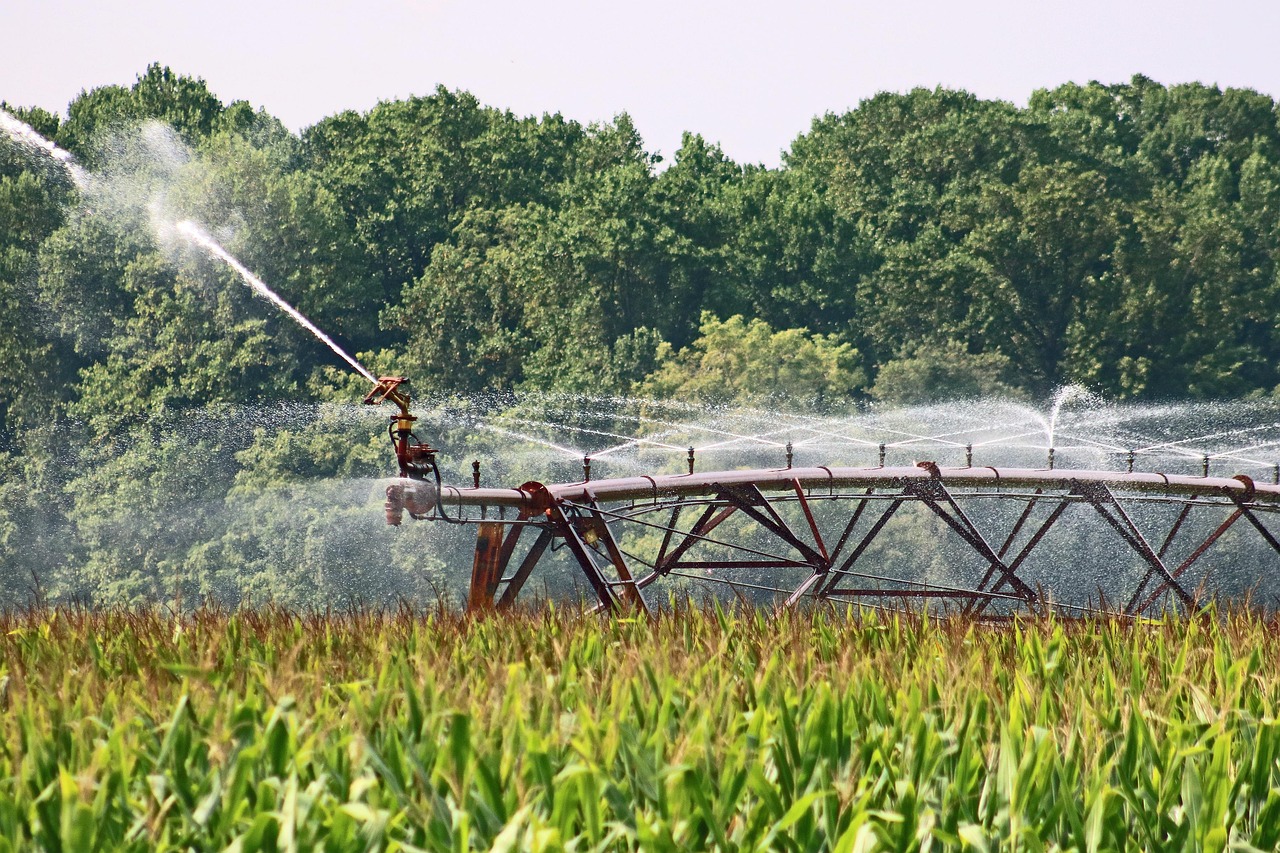 farm, nature, agriculture, irrigation, water, crops, spray