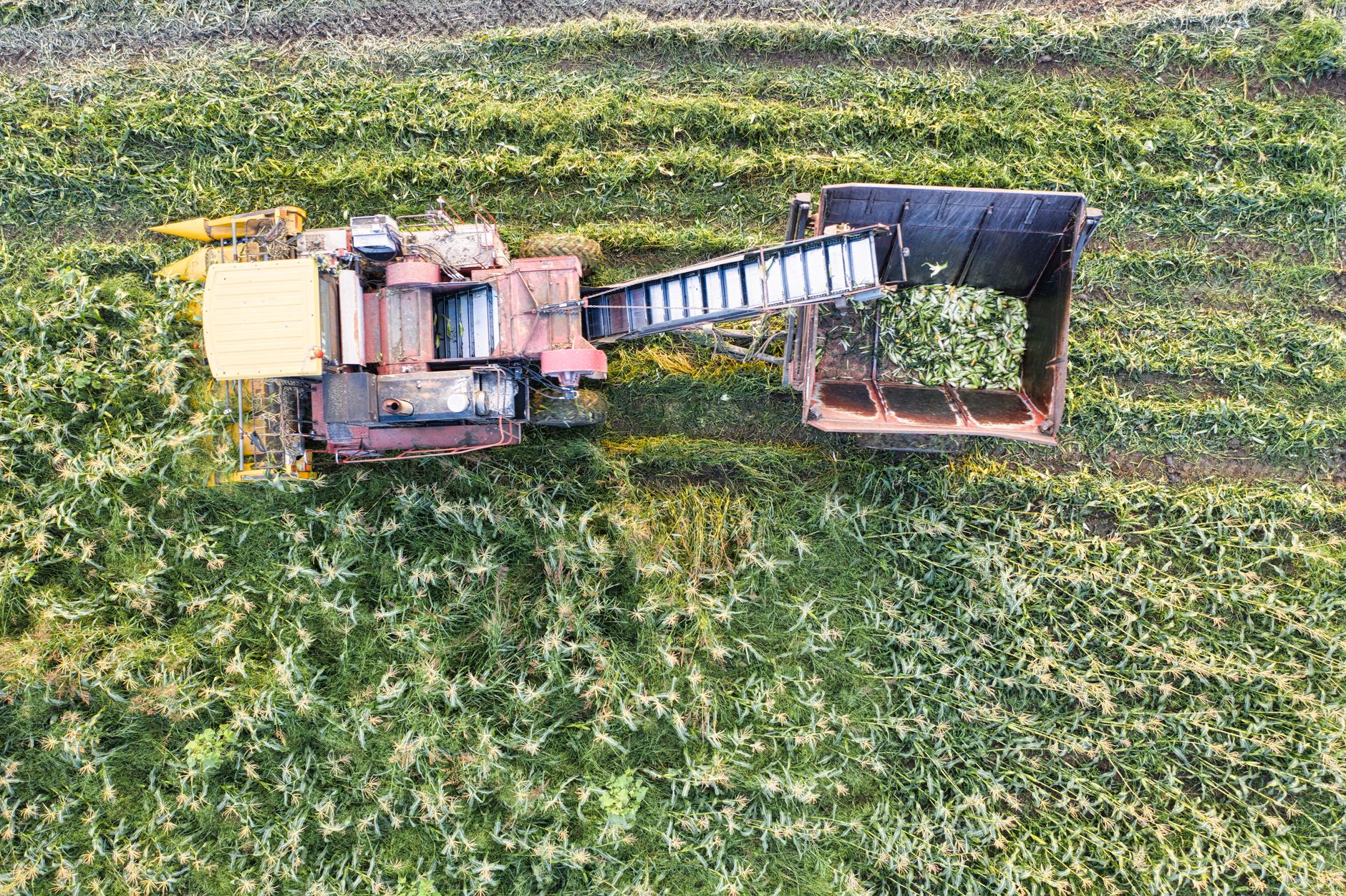 Aerial shot of a tractor harvesting crops in a Minnesota field during the day.