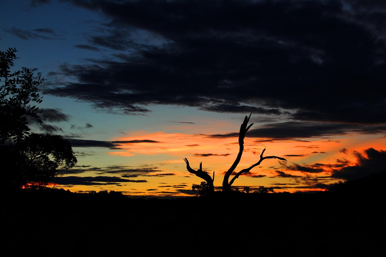 landscape, nature, mato grosso do sul, beautiful, dusk, forest, beauty, inspiration, contemplation, dream