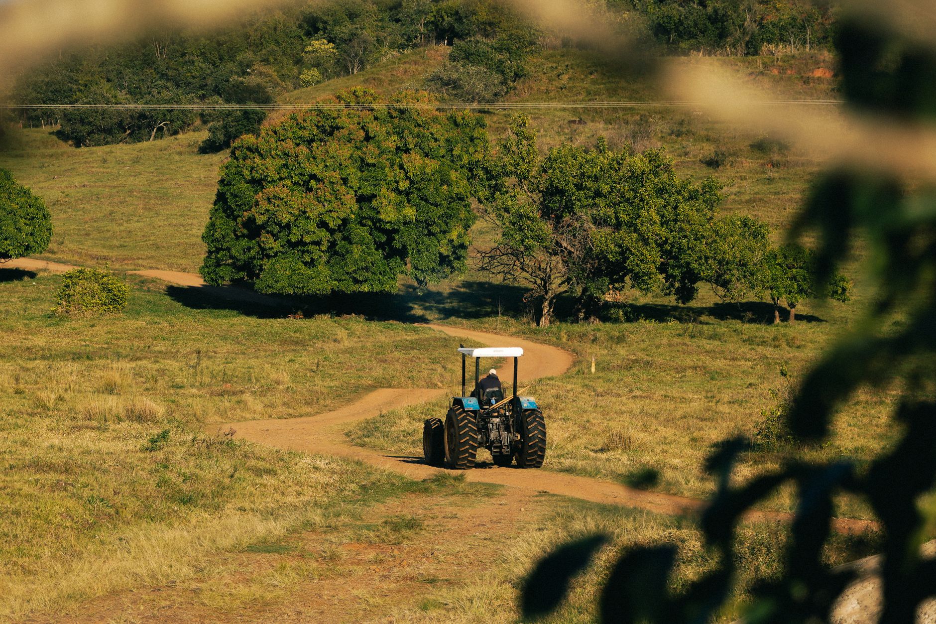 A tractor drives along a rural dirt path surrounded by trees and fields on a sunny day.