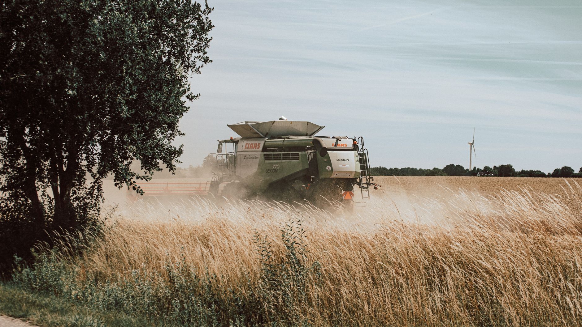 Combine harvester in action during wheat harvest on a sunny rural farm day.