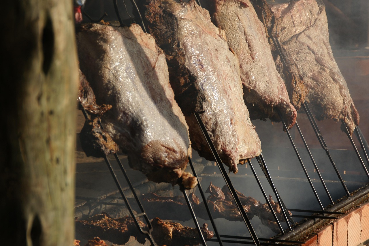 barbecue, beef, rio grande do sul, tradition, brazil, fire, ember