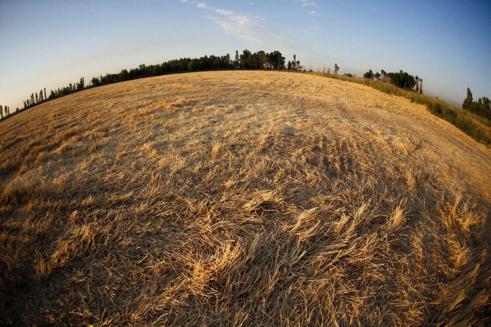 A fisheye view of a rural hayfield with dry grass, showcasing a beautiful sunset.