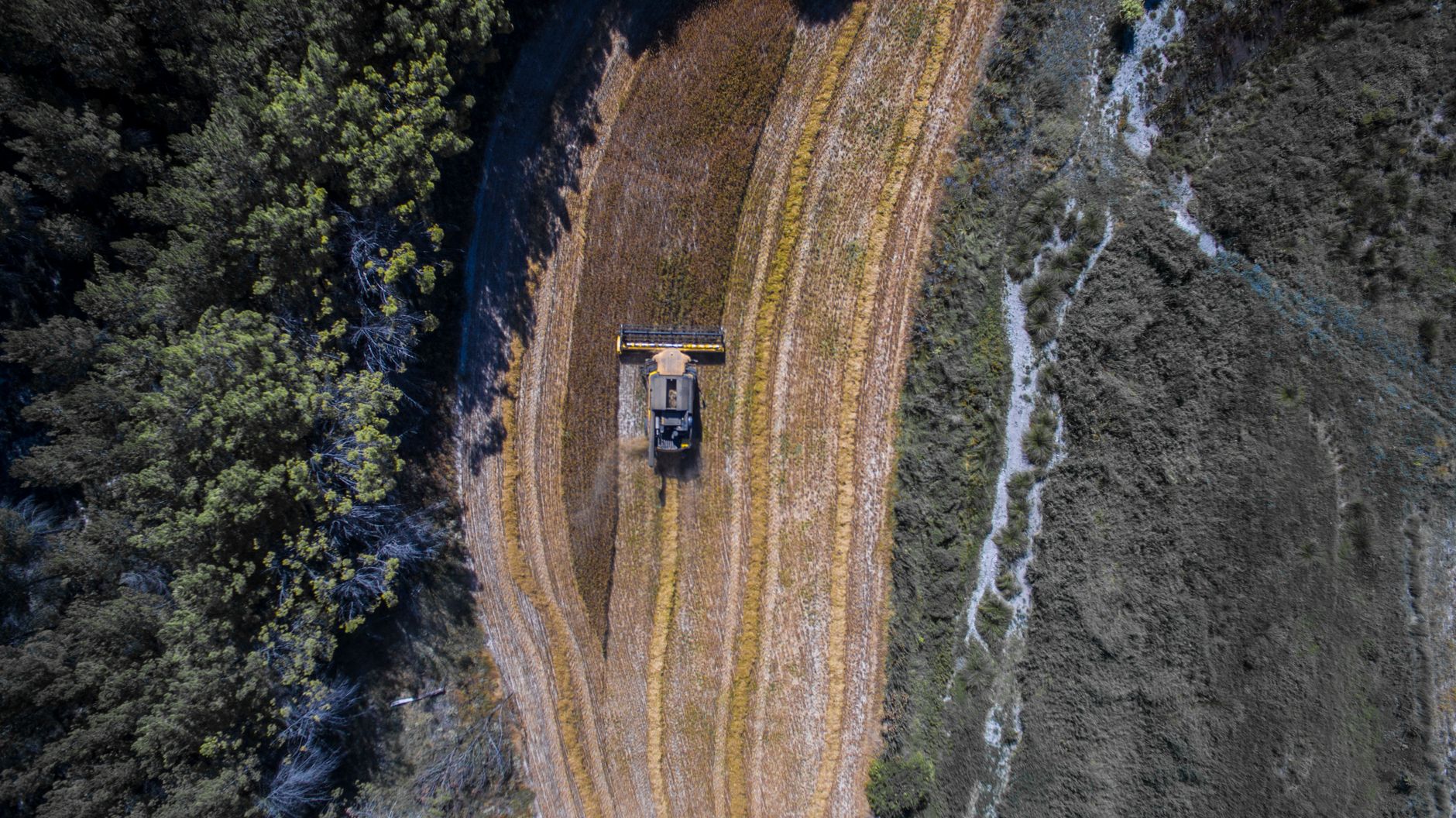 Drone shot of a tractor harvesting a field in La Parrilla, Spain.