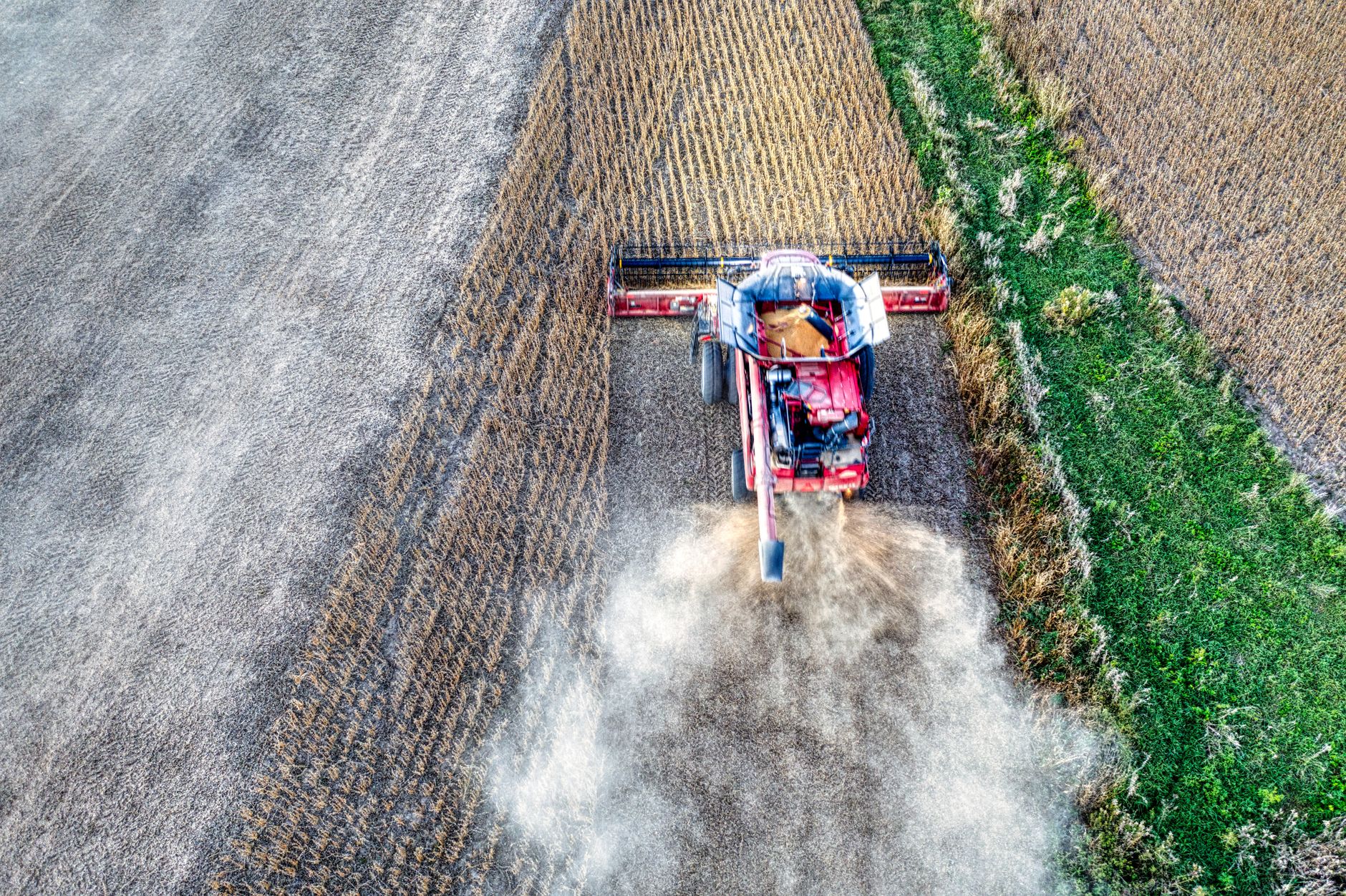 High-angle shot of a combine harvester working a cropland in Minnesota, USA, captured mid-harvest.