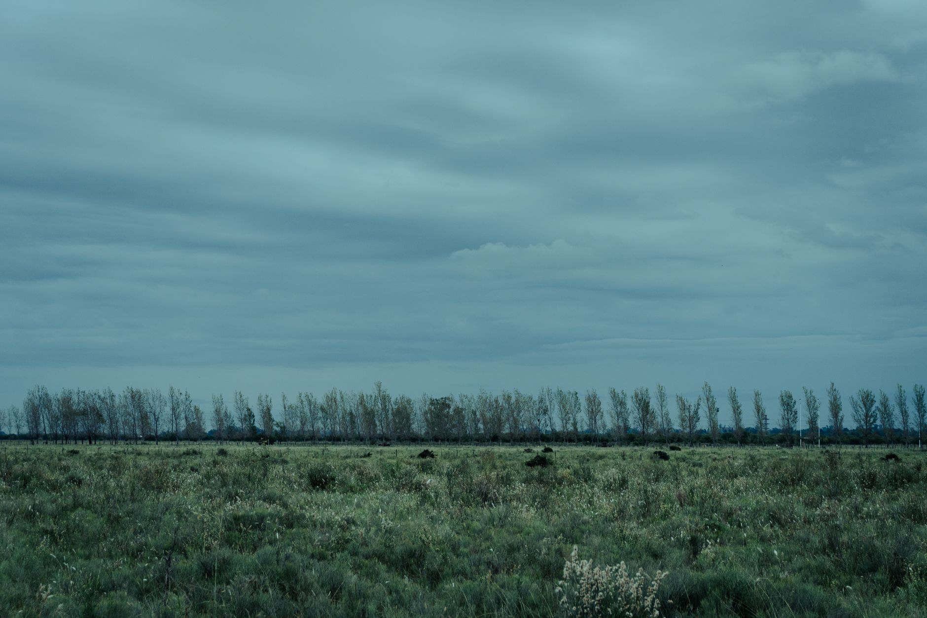 Expansive field with trees under a dramatic clouded sky in Rosario, Argentina.