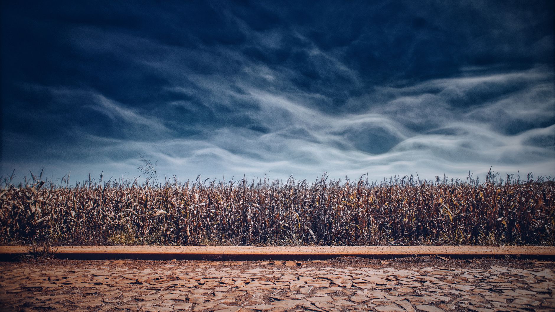 Dramatic clouds hover over a tranquil cornfield in Vila Portes, Brazil, creating a serene rural landscape.