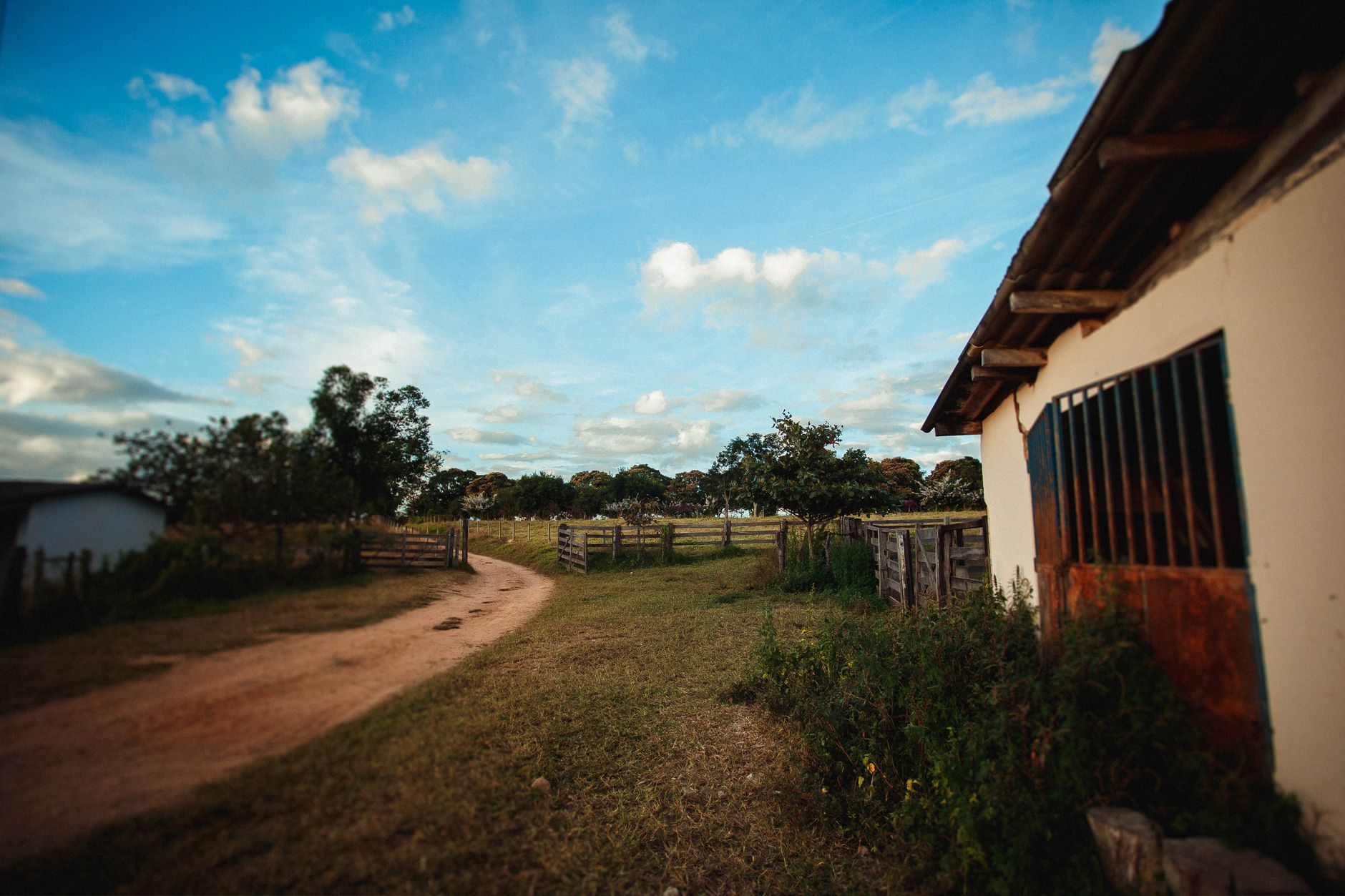 Blue sky with clouds over narrow sandy road surrounded by small simple houses and wooden fence next to grassland and forest