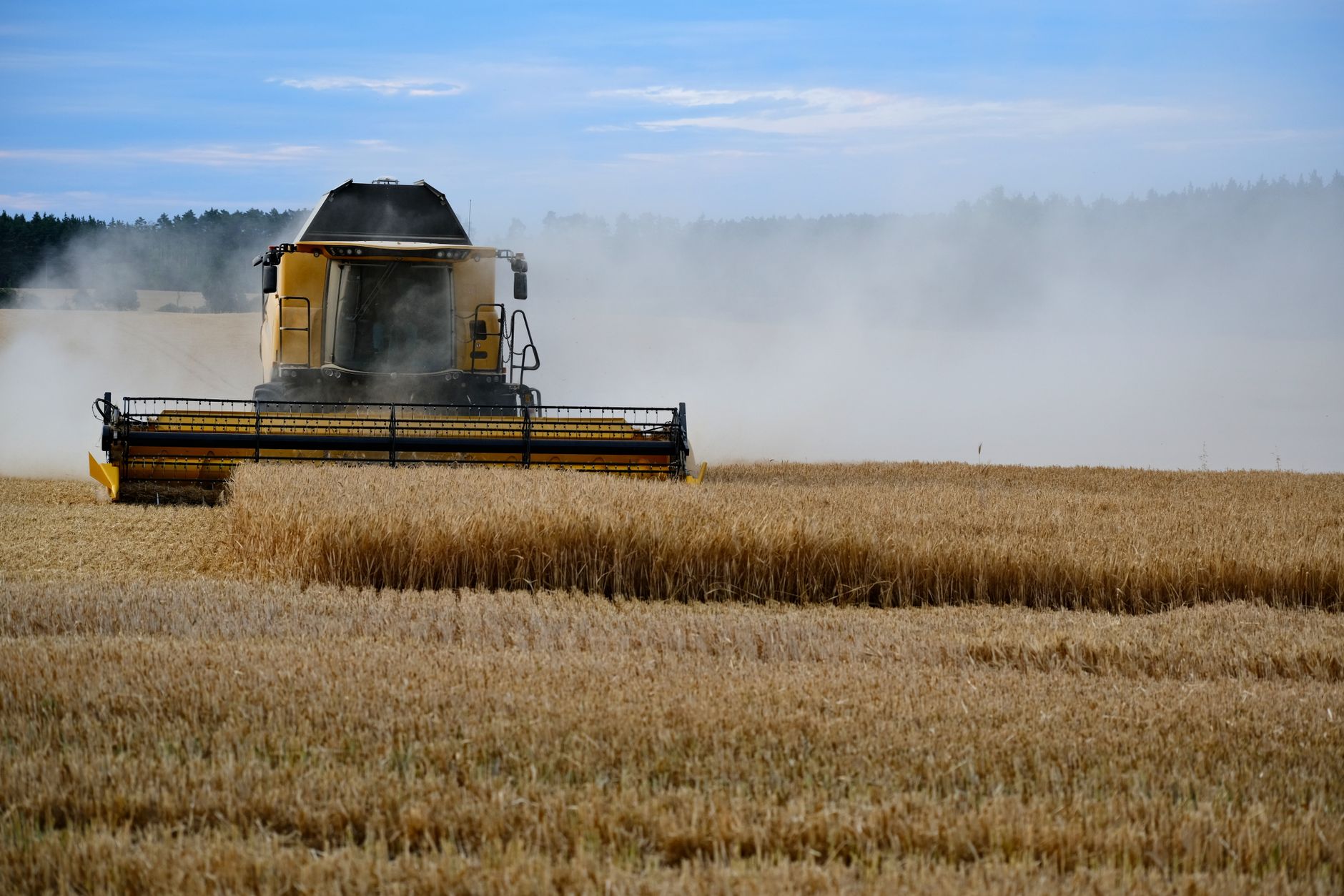 A yellow combine harvester working in a dusty wheat field on a sunny day.