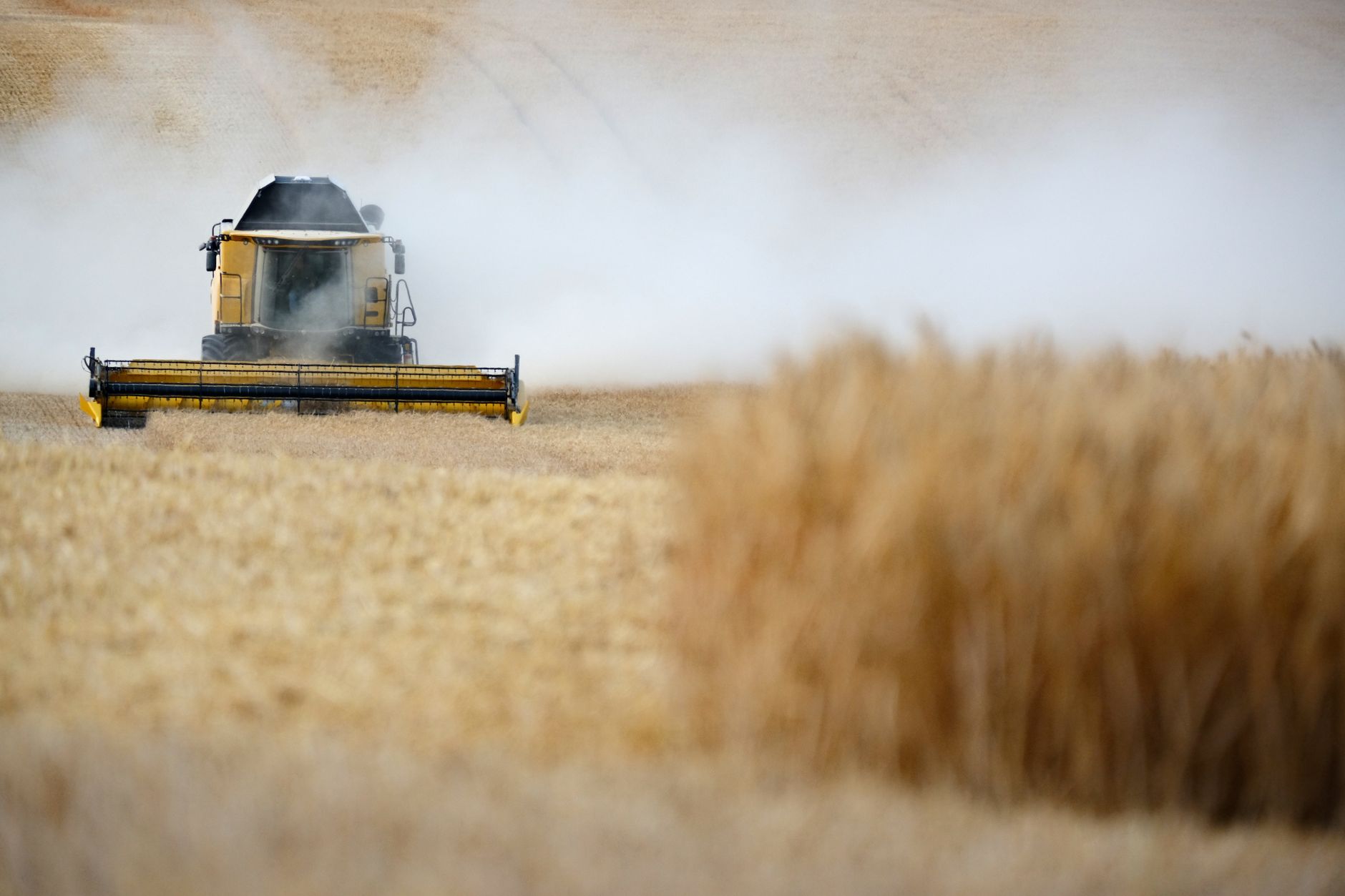 A combine harvester operates in a dusty wheat field during harvest season, capturing the agricultural process.