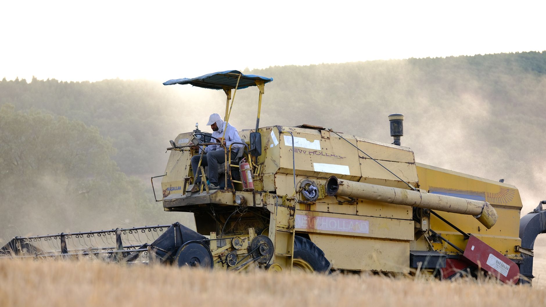 A farmer drives a harvester through a dusty field, harvesting wheat under a bright sky.