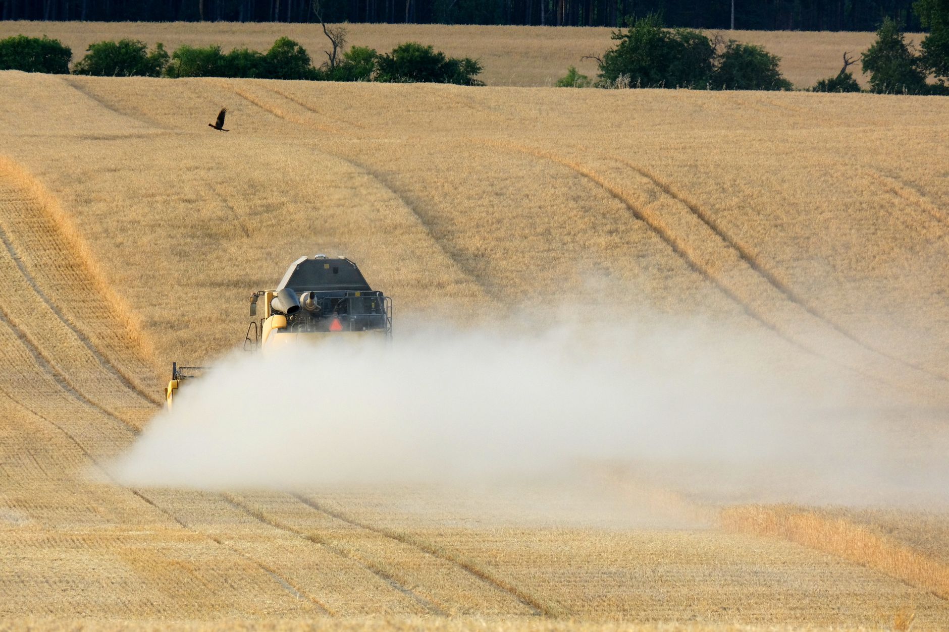 A tractor plowing through a wheat field under a clear sky, creating a cloud of dust.