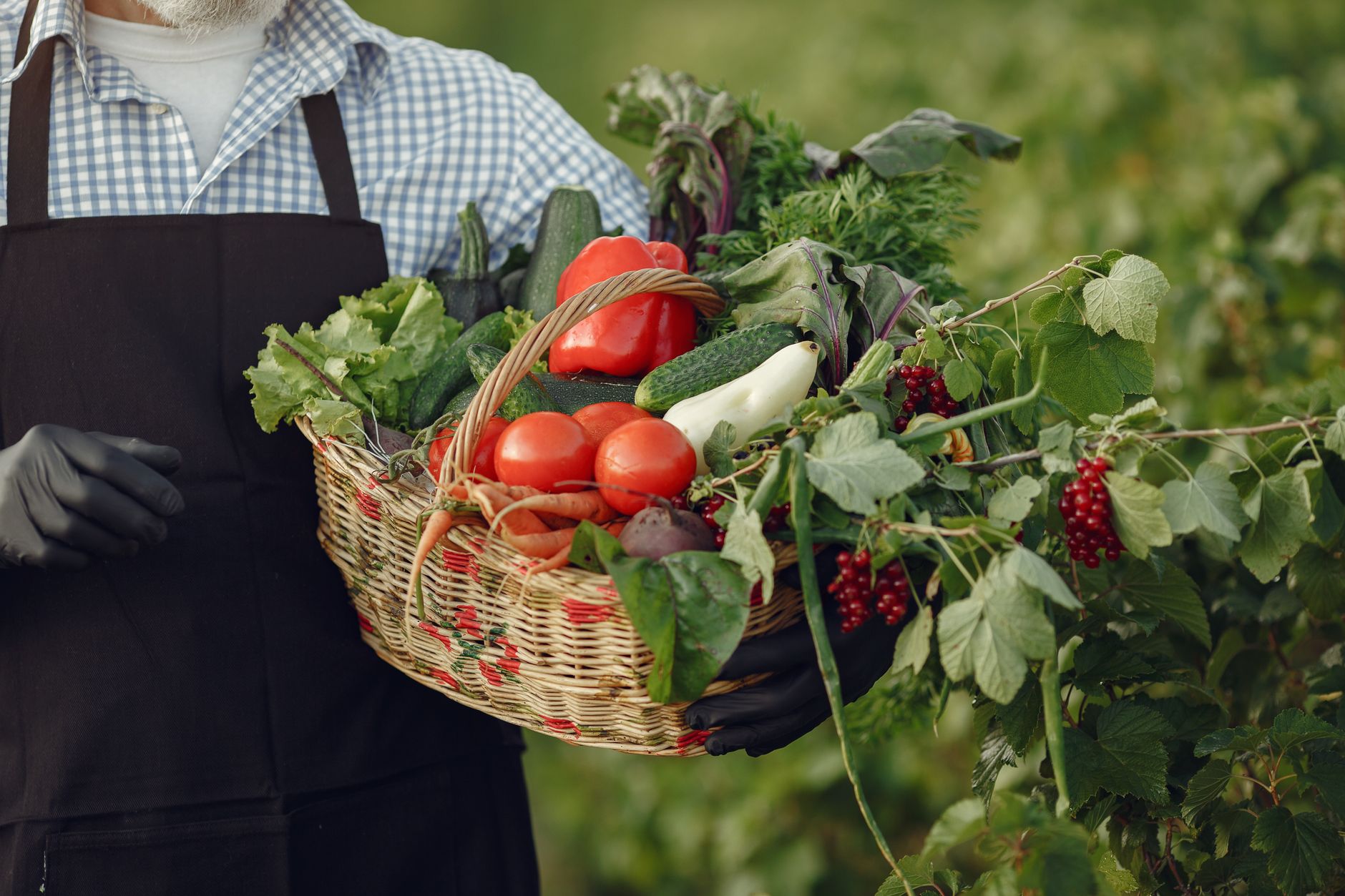 Close-up of a farmer holding a basket filled with vibrant fresh vegetables in a garden.