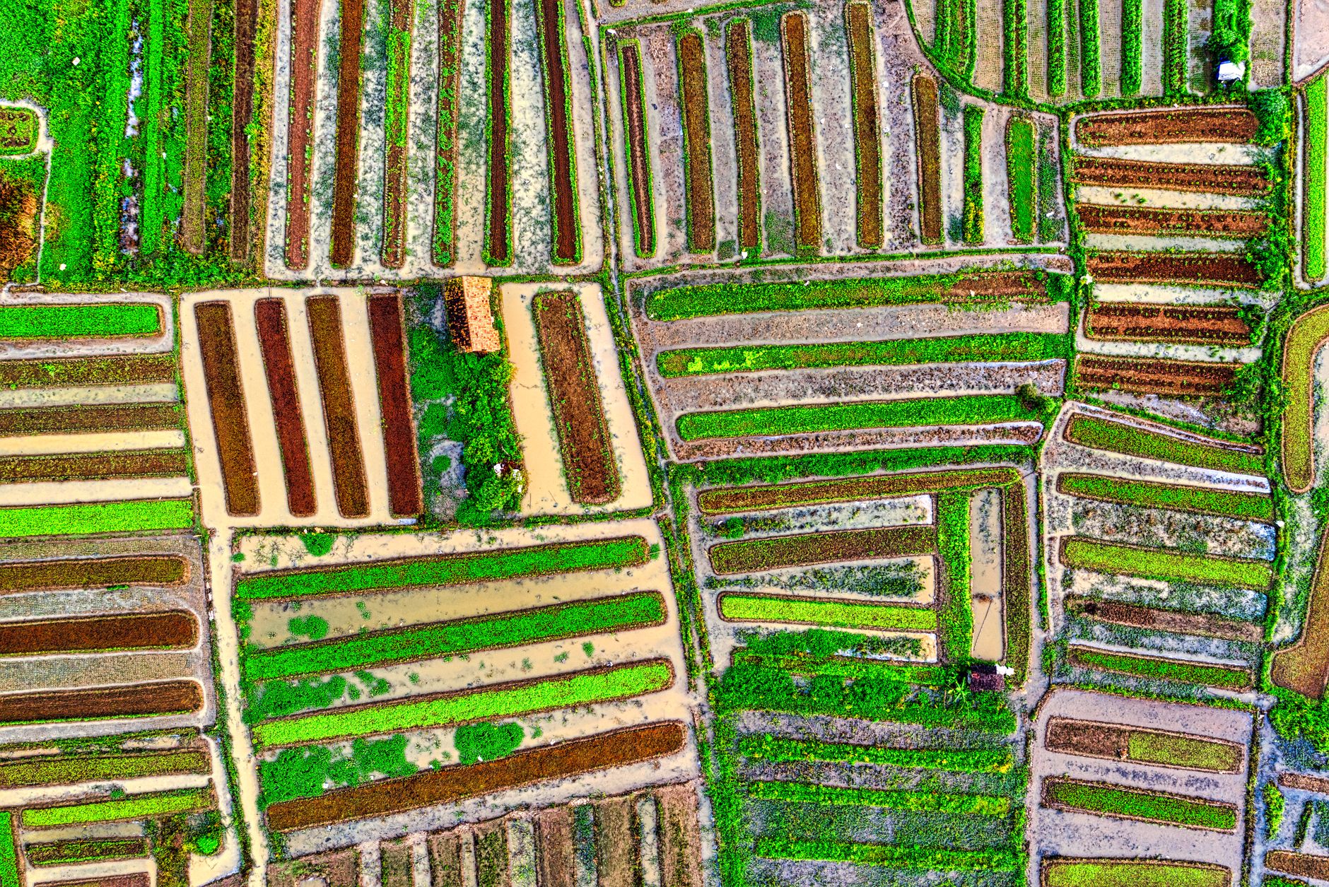 Vibrant aerial shot of diverse crop fields in West Java, Indonesia.