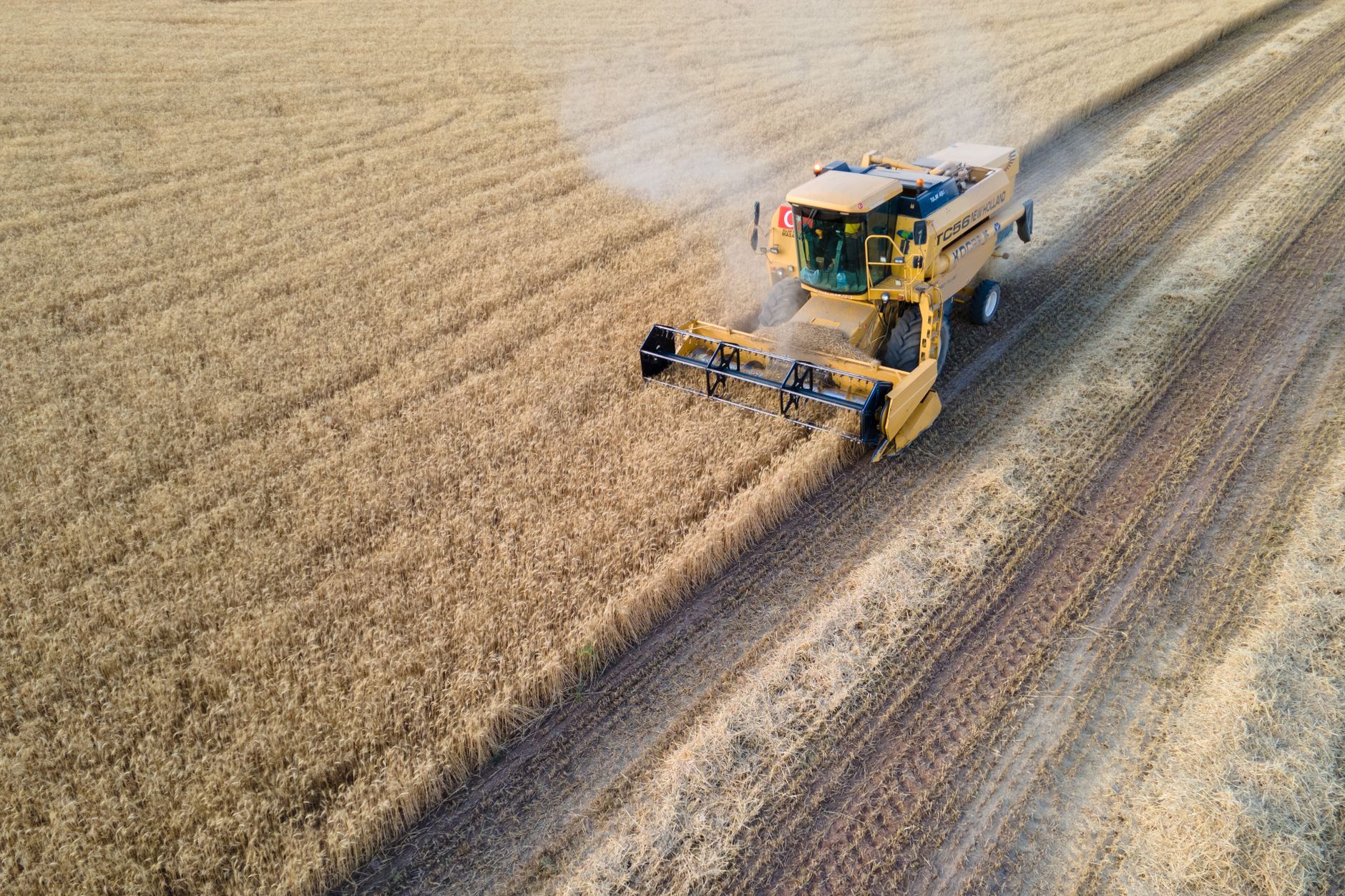 A combine harvester working in a wheat field in Ankara, Turkey, during a sunny day.