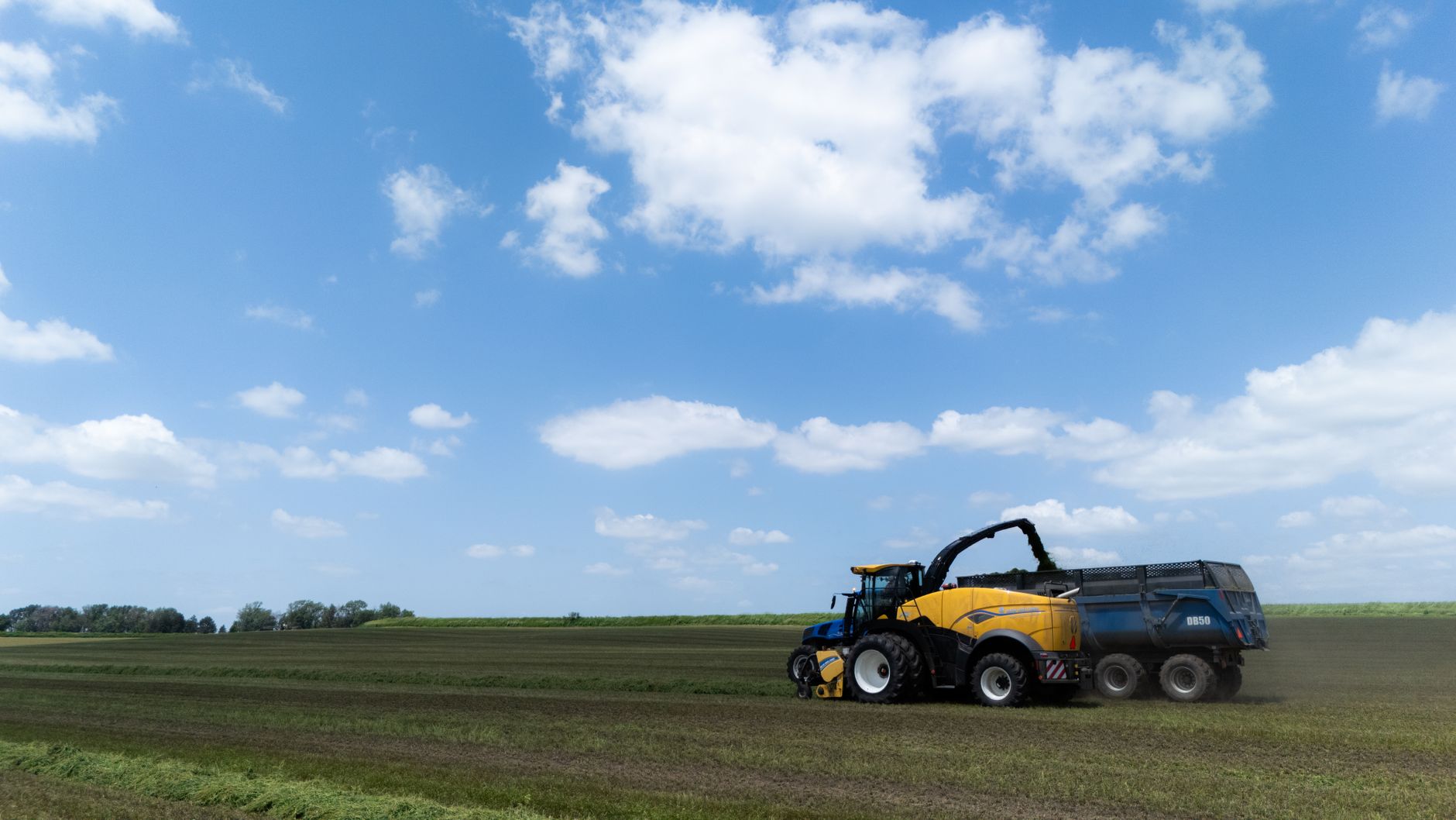 A tractor uses modern equipment to harvest crops on a bright summer day.