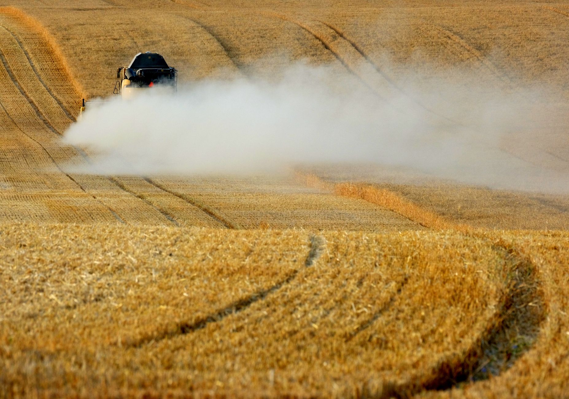 A combine harvester moves through a wheat field, creating dust clouds under a clear sky.