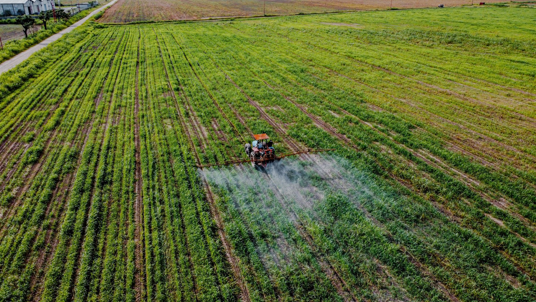 Aerial view of a tractor spraying crops in a vast, green field, showcasing modern agricultural practices.