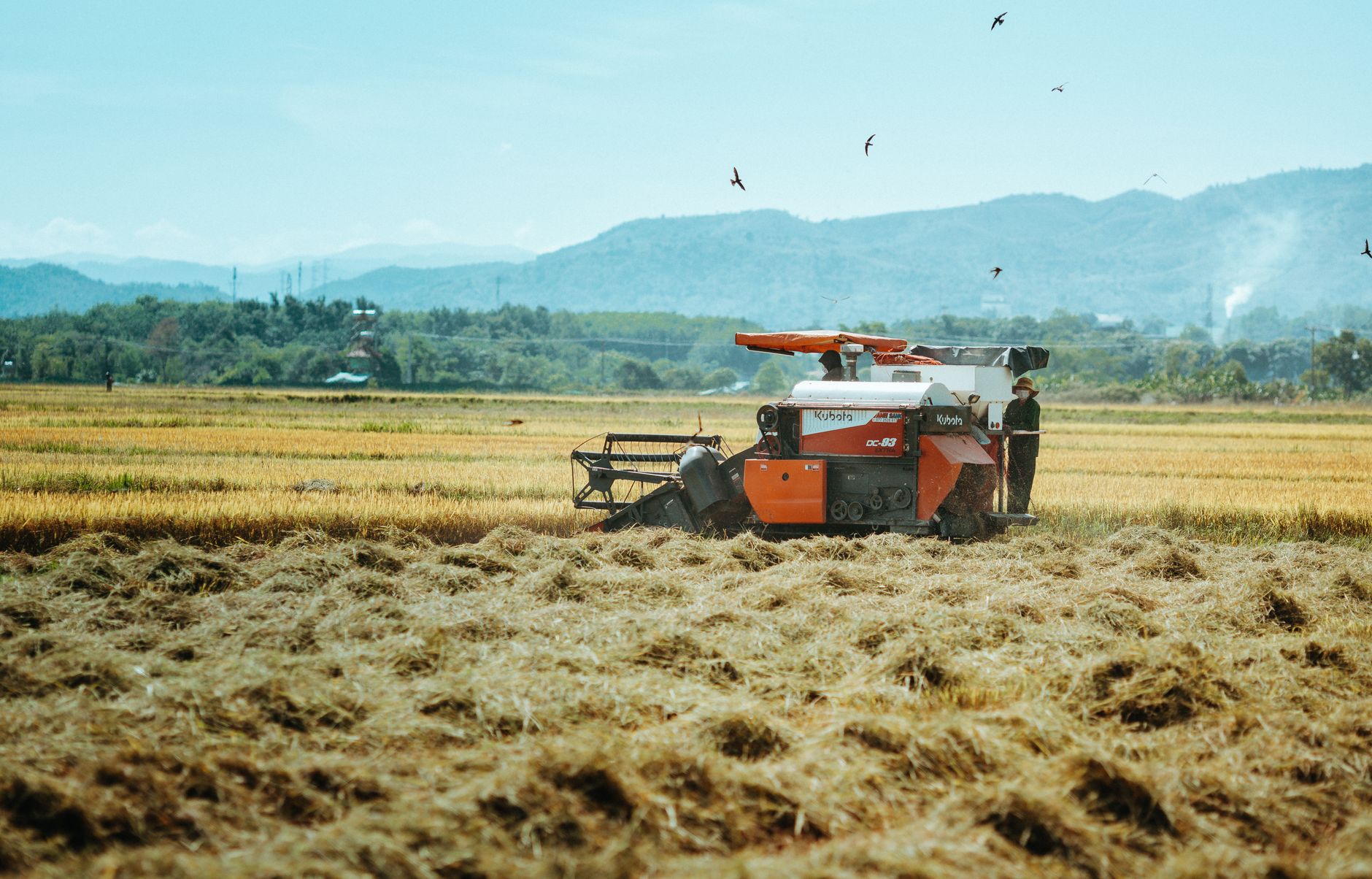 A farmer operates a rice harvester in a scenic field near Kon Tum, Vietnam.