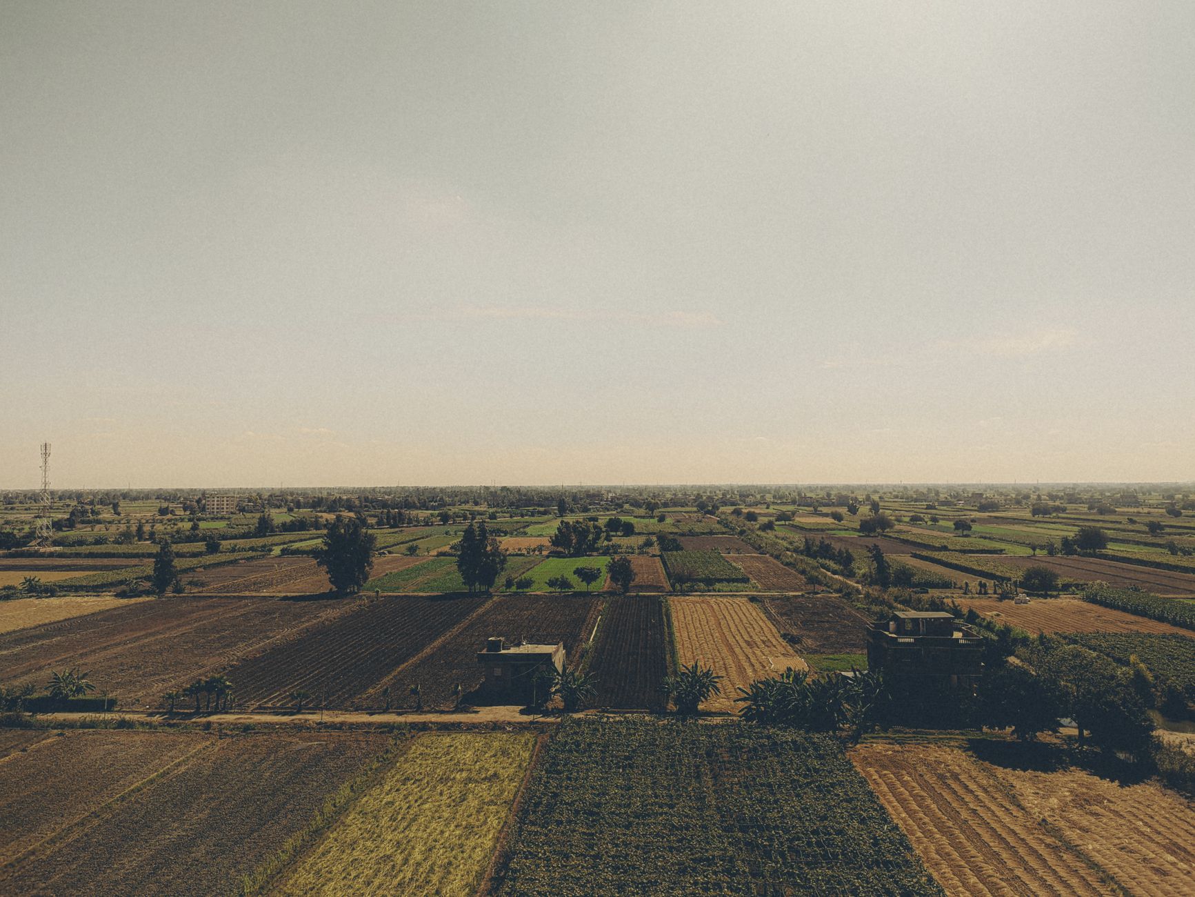 Serene aerial view showcasing expansive farmland under clear skies, capturing the essence of rural tranquility.