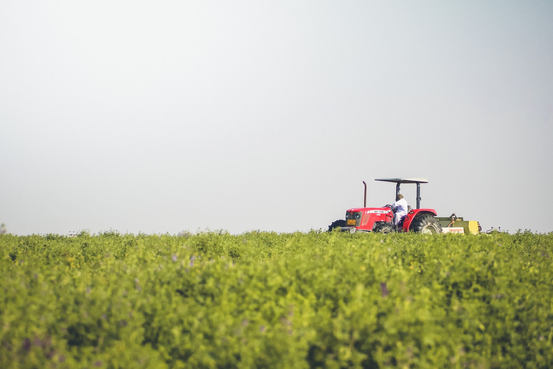 A red tractor operating in a lush green field at Al Markhiya West, Qatar, highlighting modern agriculture.