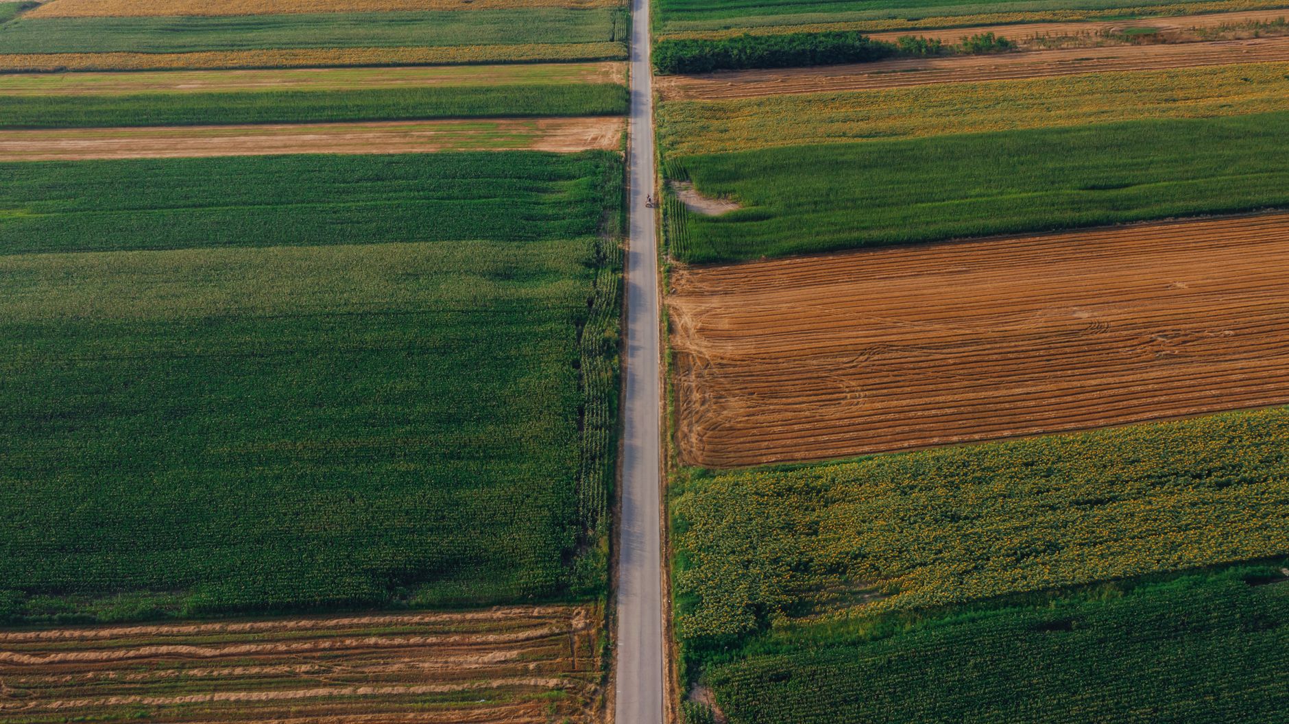 Stunning aerial view of expansive farmland divided by a scenic roadway, showcasing vibrant green and brown fields.
