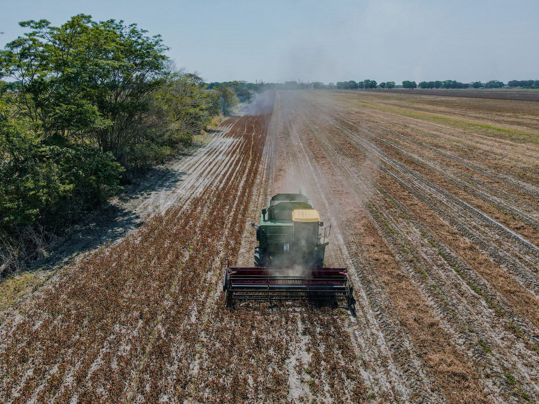 Combine harvester working in a vast agricultural field under clear skies.