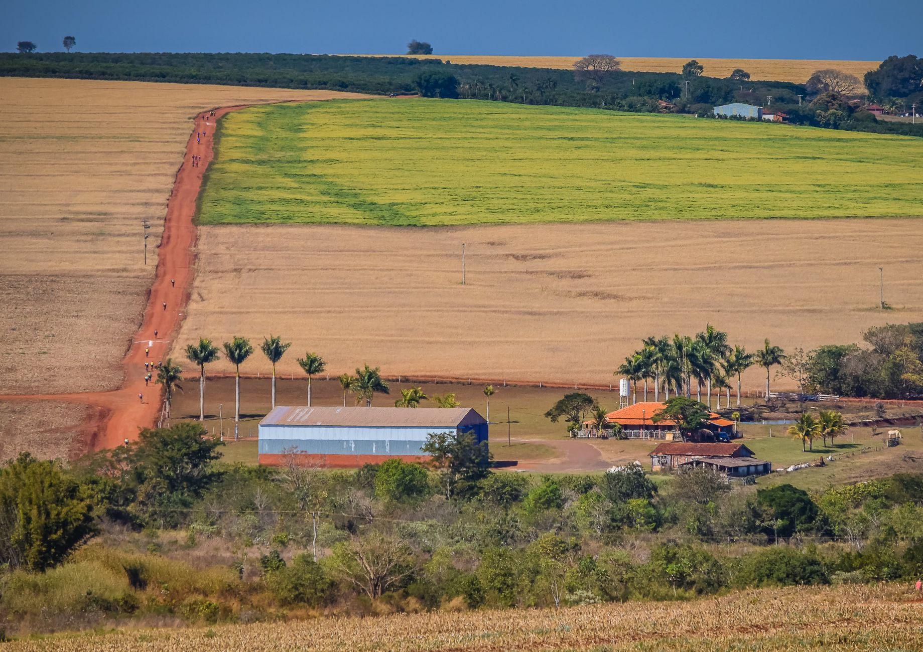 Expansive rural landscape with fields, a dirt road, and farm buildings in Marília, Brazil.
