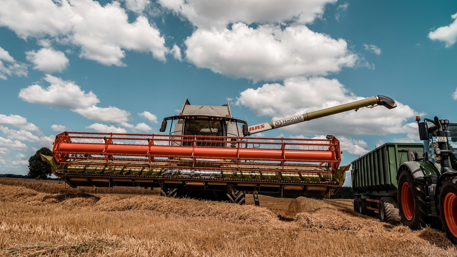 A combine harvester works in a summer wheat field in Hohenhorn, Germany.