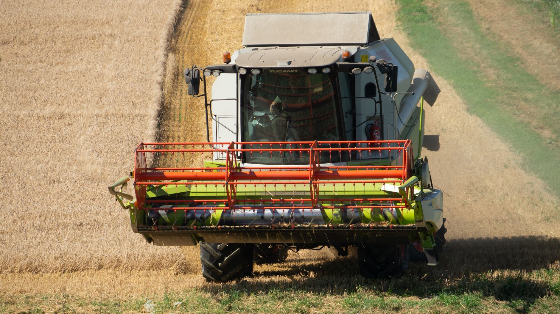 A large combine harvester working in a golden wheat field during a sunny day.