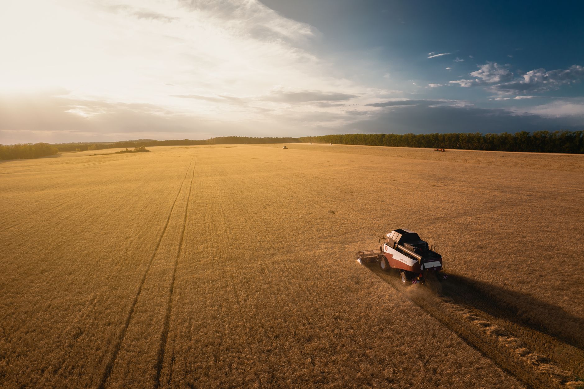 Drone shot of a tractor harvesting a vast golden field at sunset in Bashkortostan, Russia.