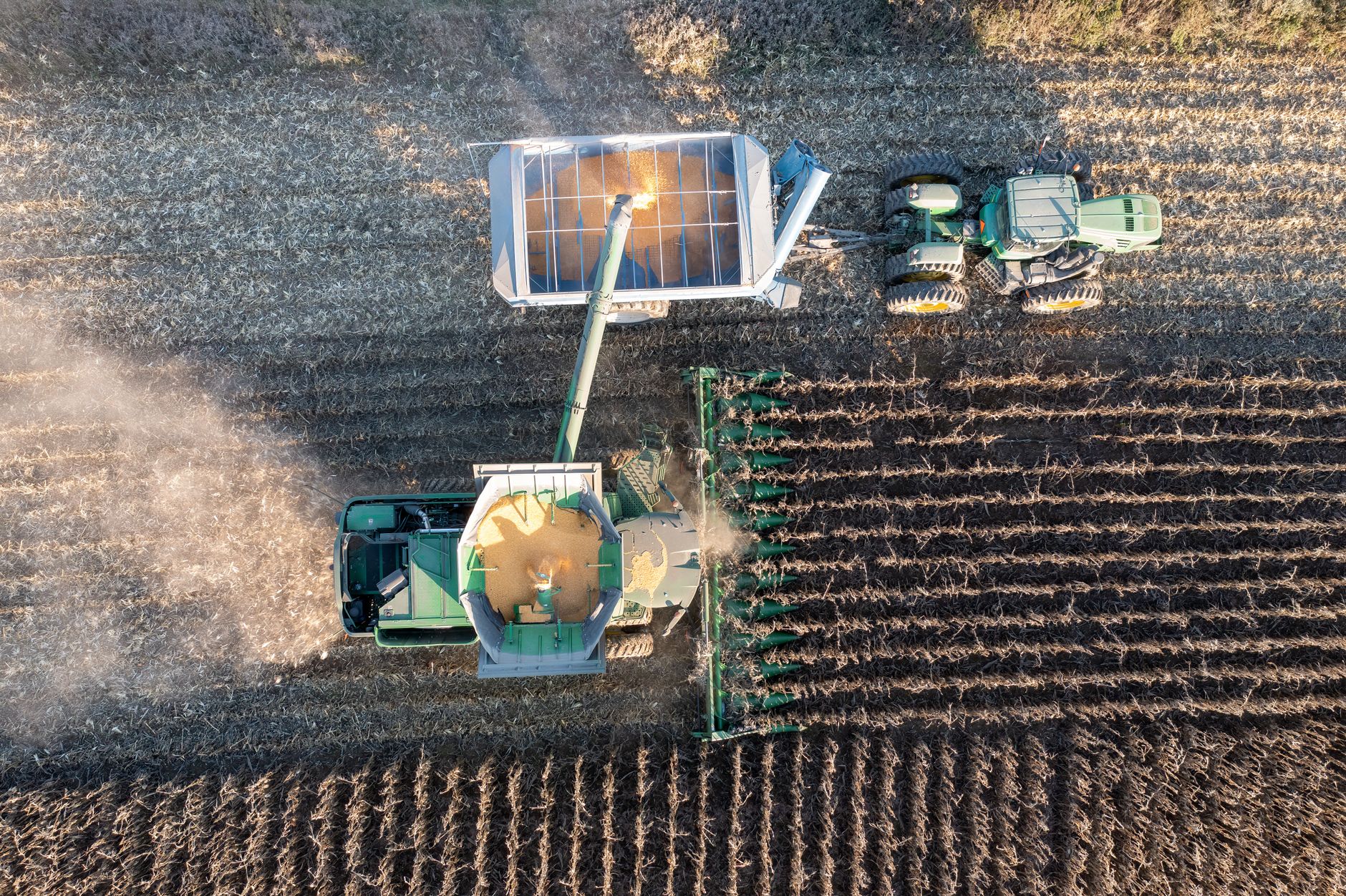 Drone shot of a tractor and harvester working in a corn field in Theilman, Minnesota, USA.