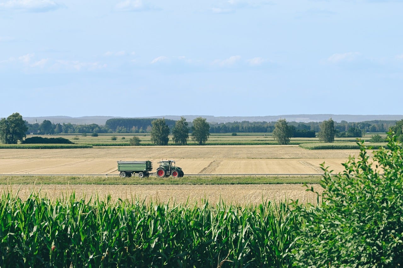 tractor, field, summer landscape, dirt road, agriculture, cultivation, tractor with trailer, cornfield, machinery, farm equipment, distant landscape, tillage, blue sky, agricultural field, wheat field, plowing with tractor, rural area, farming activity