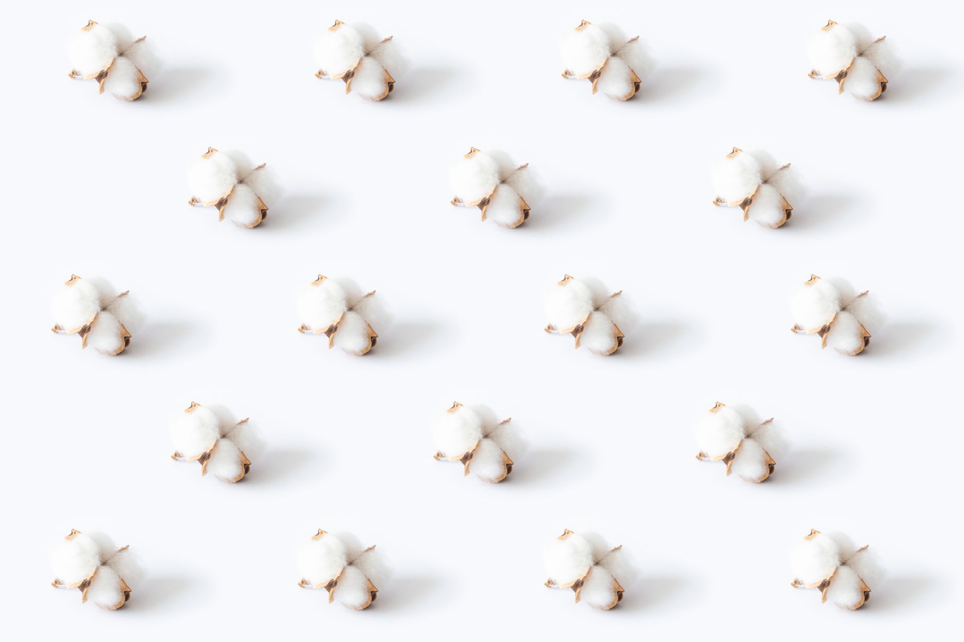 A minimalist pattern of cotton flowers on a white surface, perfect for textiles.