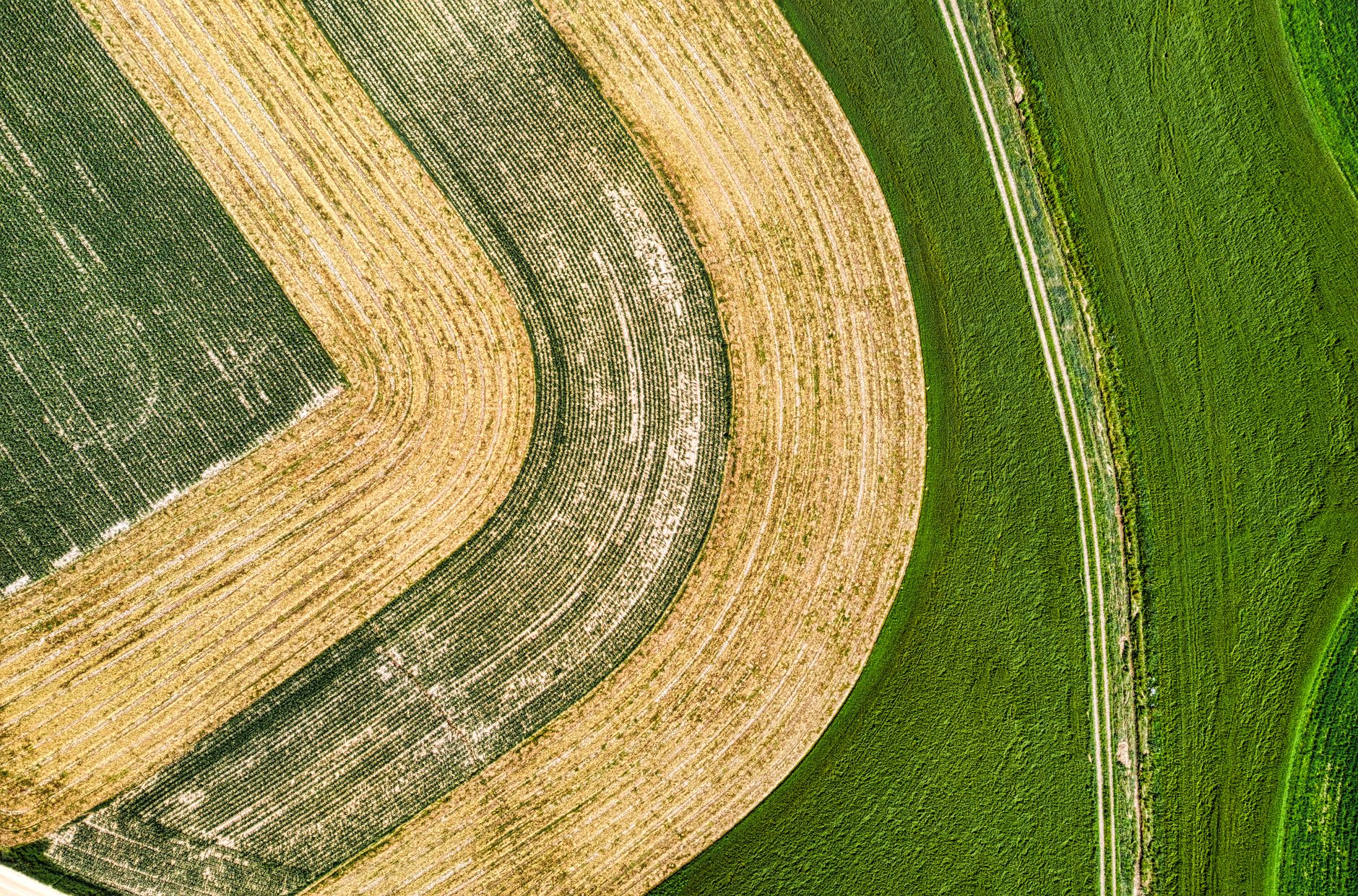 Aerial view of green and yellow farmland creating geometric patterns in Zumbro Falls, MN.