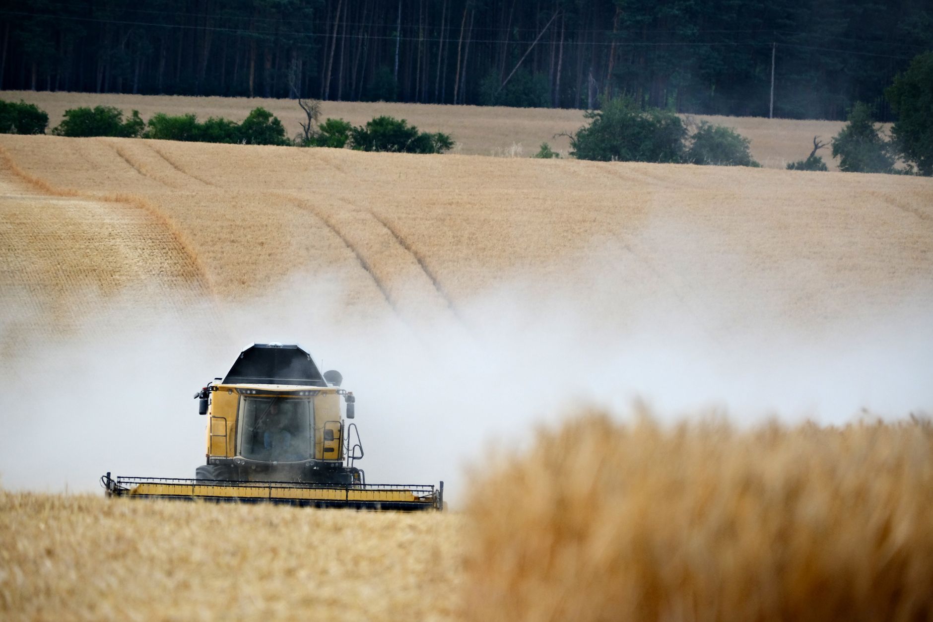 Combine harvester working in a wheat field during harvest season in a rural landscape.
