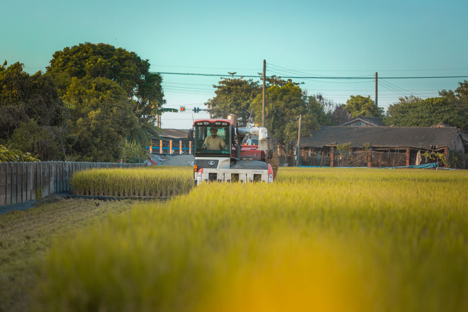 A farmer drives a harvester through a lush green field under a clear blue sky, depicting rural agriculture.