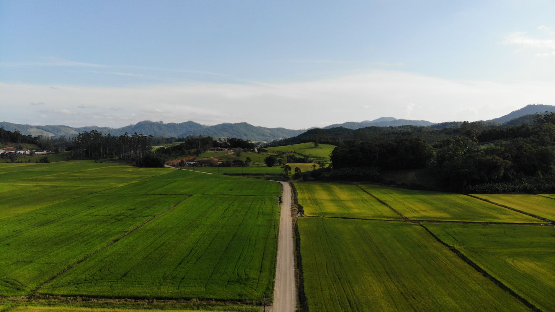 Scenic aerial panorama of lush green fields and dirt road in Massaranduba, Santa Catarina, Brazil.