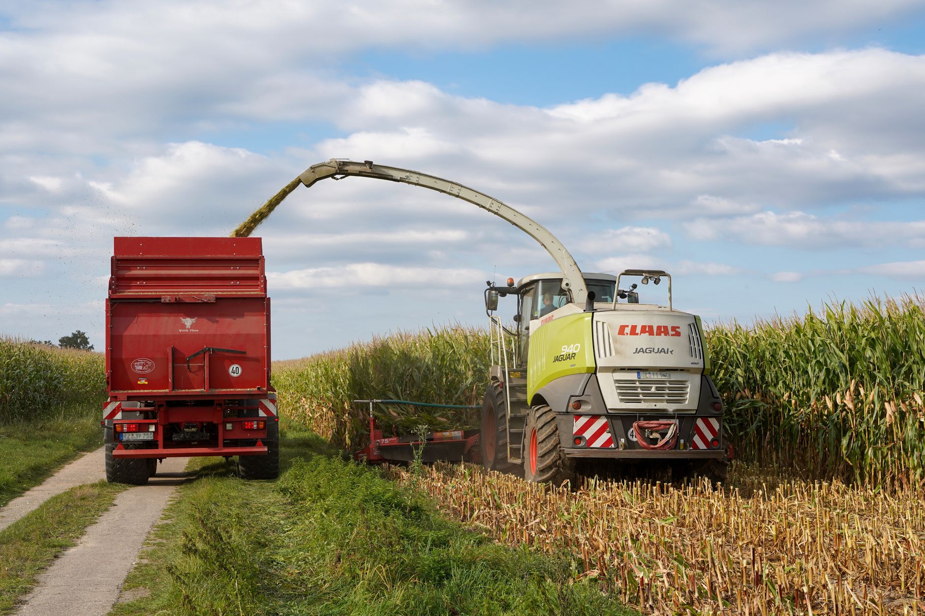 Combine harvester operating in a cornfield in Lütau, Germany during autumn.