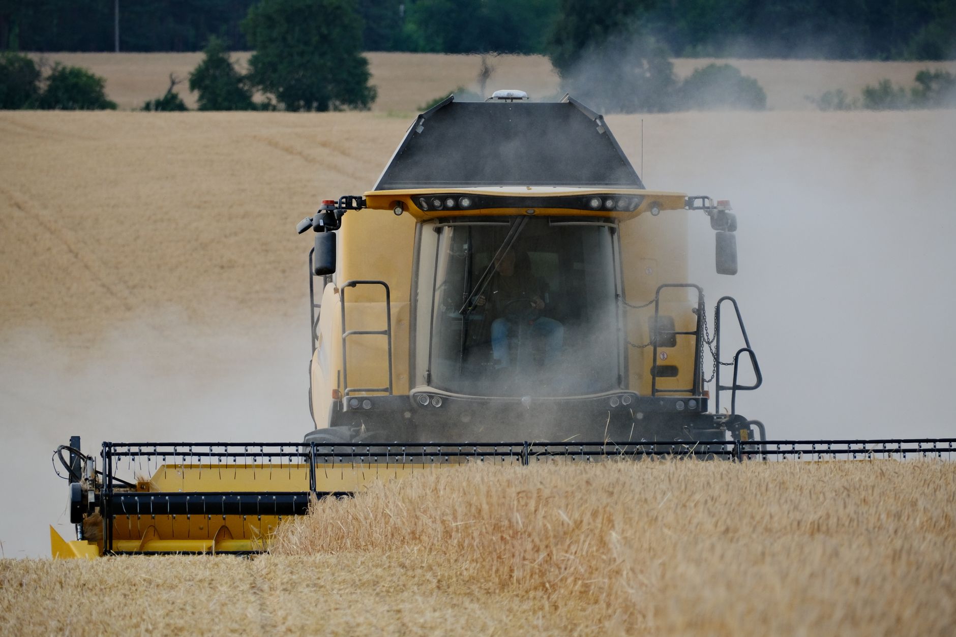 Combine harvester operating in a wheat field during harvest season, producing dust clouds.