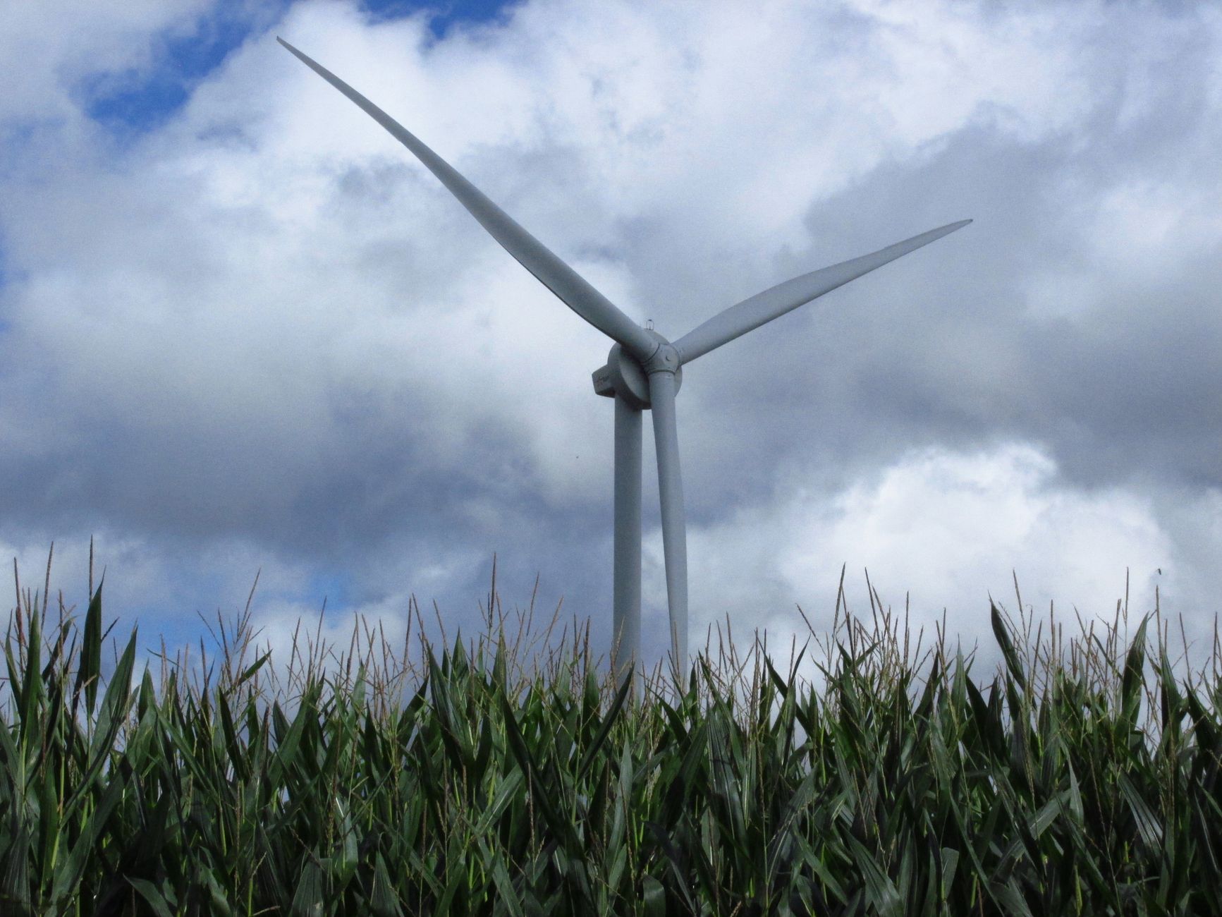 Wind turbine in a cornfield in Tournai, Belgium, with dramatic cloudy sky.