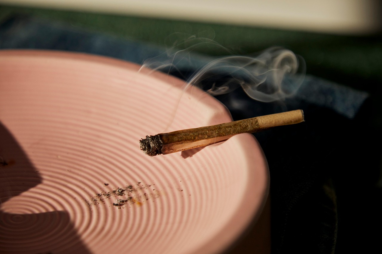joint, smoking, ashtray, weed, smoke, pre-roll, cbd pre roll, blunt, hemp, ganja, closeup