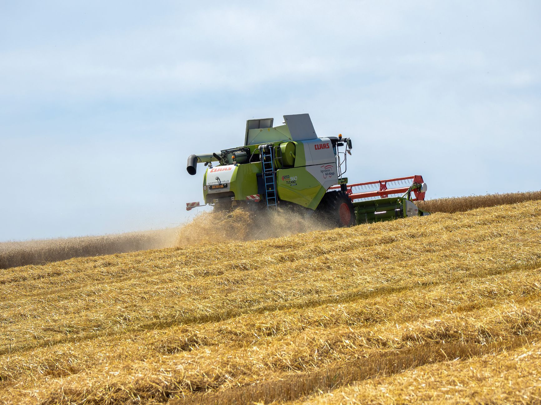 A combine harvester working in a golden wheat field during daytime, clear sky.