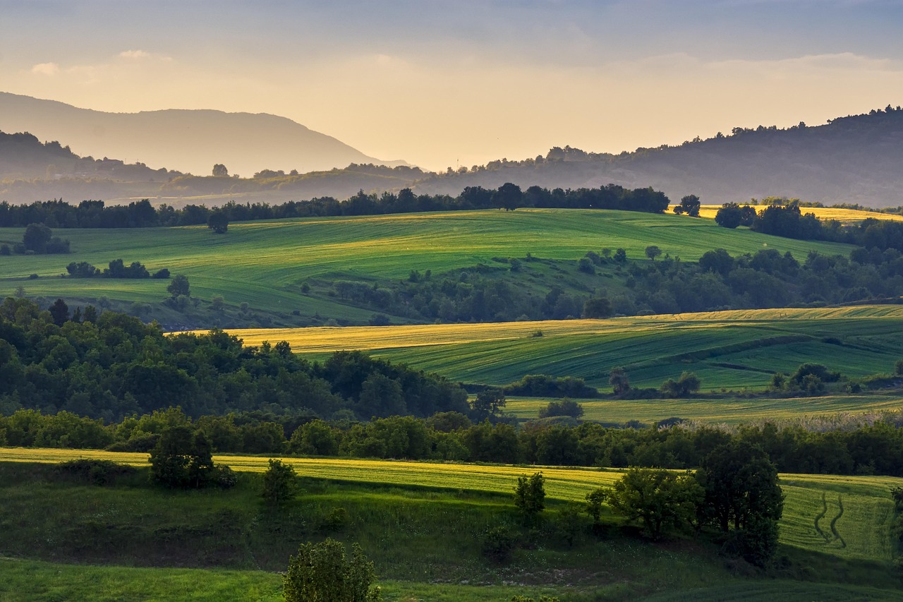 wheat fields, rolling hills, sunset, agriculture, nature, landscape, rolling hills, rolling hills, rolling hills, rolling hills, rolling hills, agriculture, agriculture, landscape