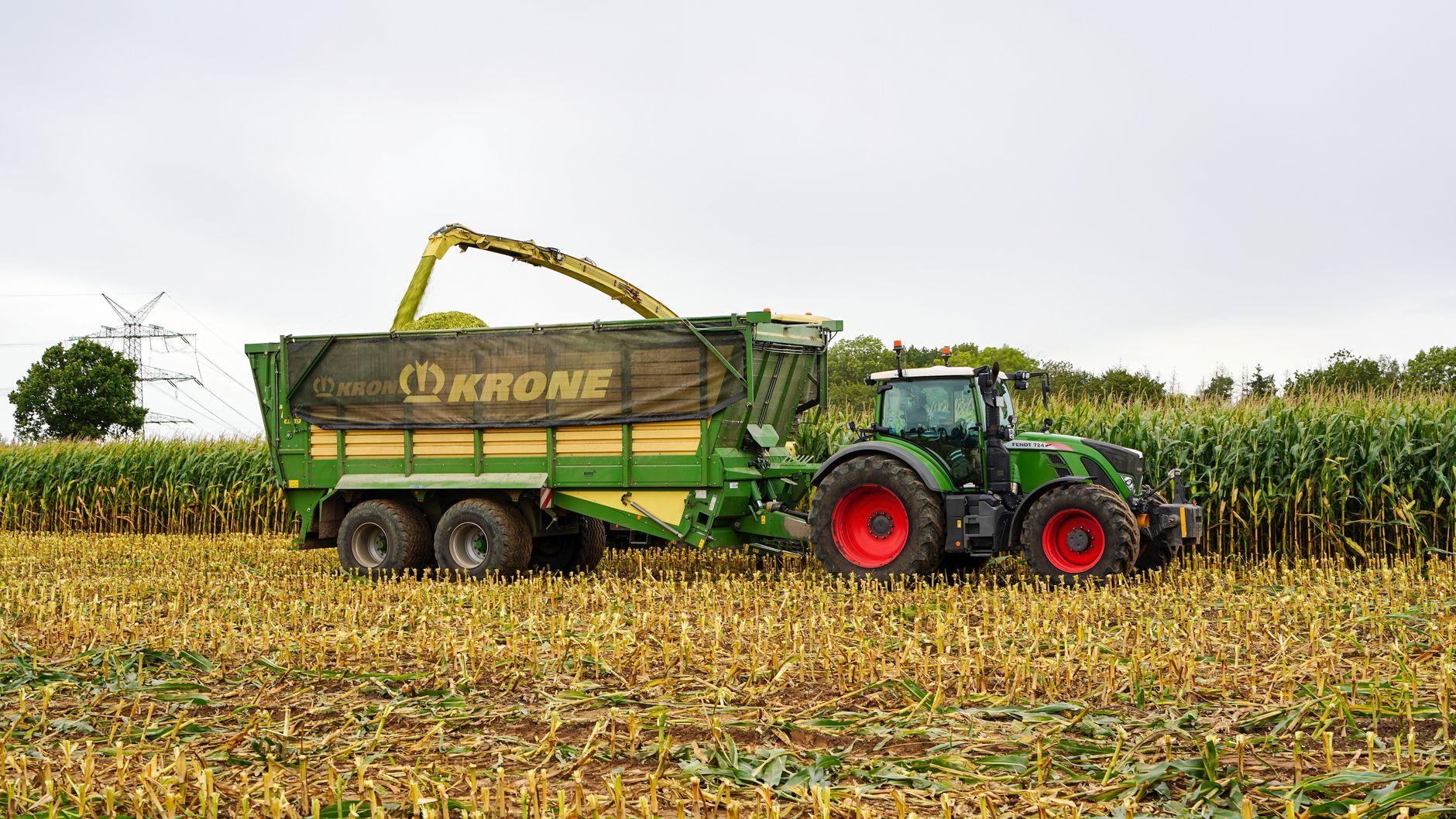 A tractor with a Krone trailer harvesting corn in a Lütau field, Schleswig-Holstein.